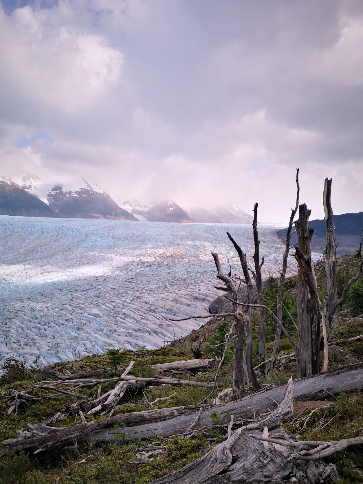 patagonia, ghiacciaio Grey