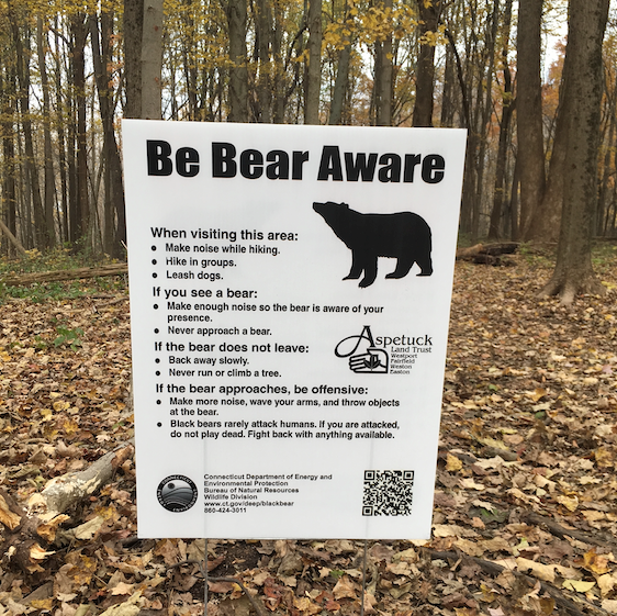 be bear aware mark