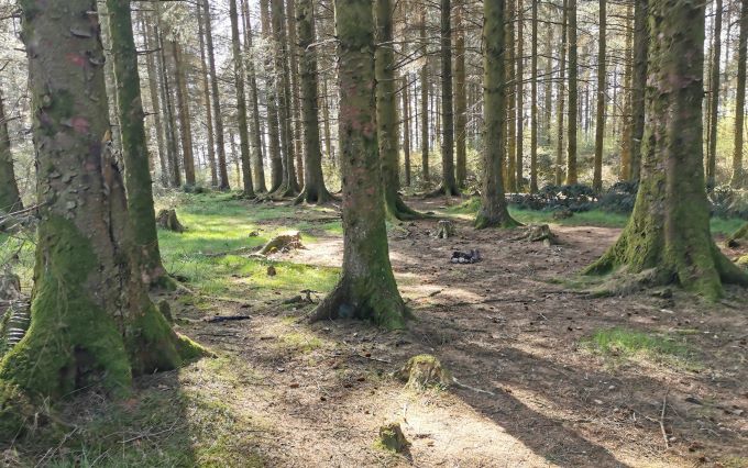 wild camping Garabhan forest West Highland Way