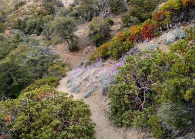 PCT Desert Section 2