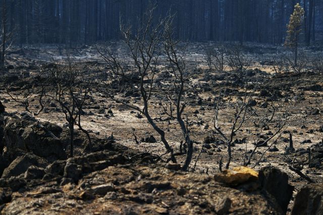 Devastation after lightning fire in Califorrnia