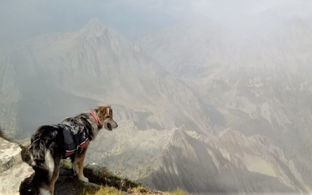 Translagorai in solitaria: la severa bellezza della roccia (parte 2)