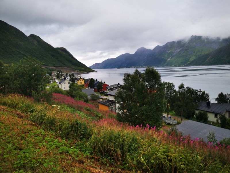 fjordgard