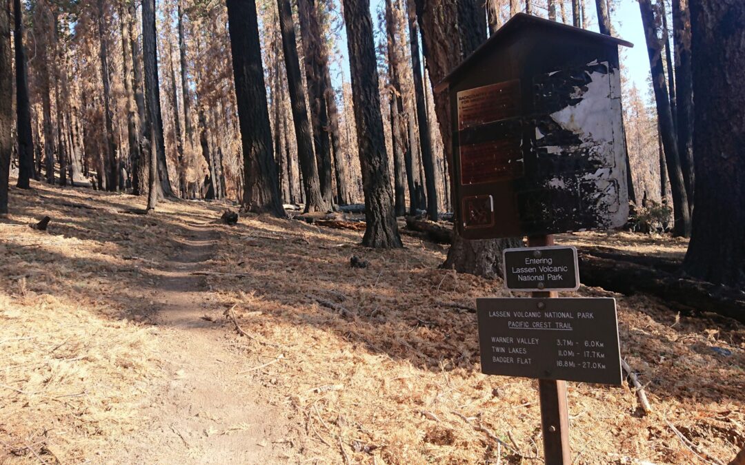 Fuoco e caldo… la California brucia.