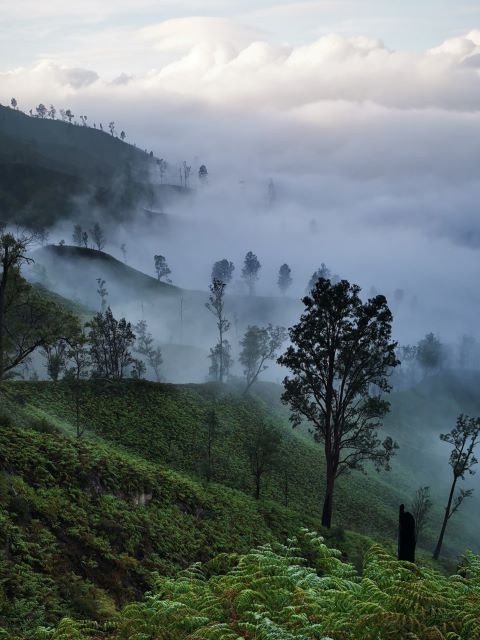 kawah ijen trail