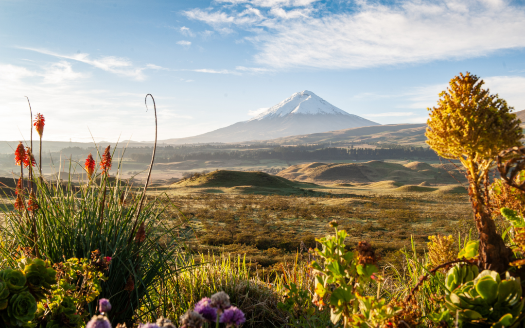 Trekking in Ecuador: ascesa al vulcano Cotopaxi