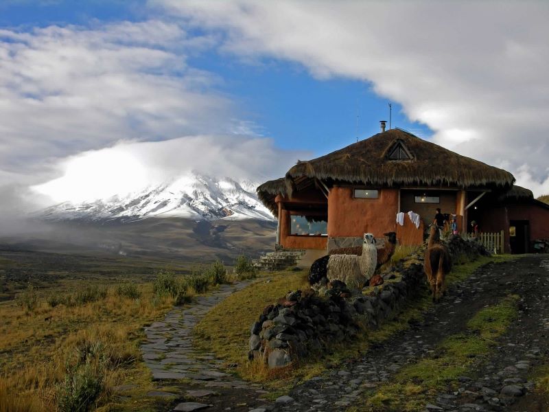 Tambopaxi